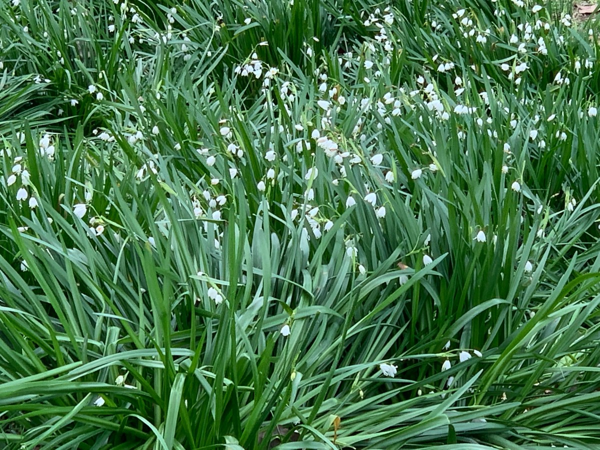 “I Do Whatever The F*** I Want” (Alecia&nbsp;Keys)