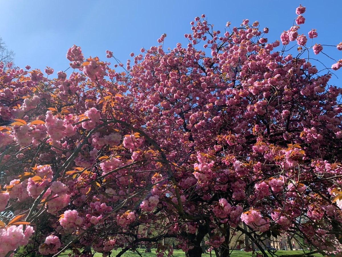 Note To Self: Ten Reasons I Should Trust Myself (not the&nbsp;thoughts).